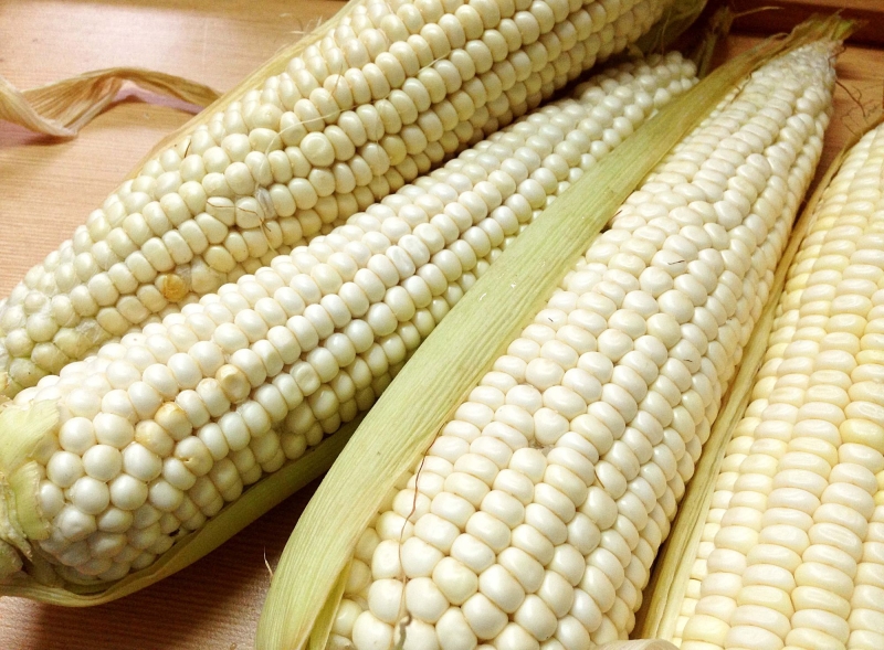 Топ-5 секретов царицы полей — кукурузы