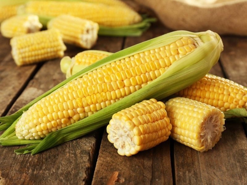 Топ-5 секретов царицы полей — кукурузы